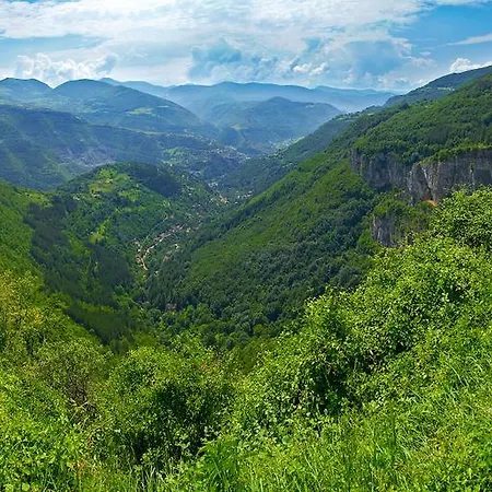 Lakata Zasele