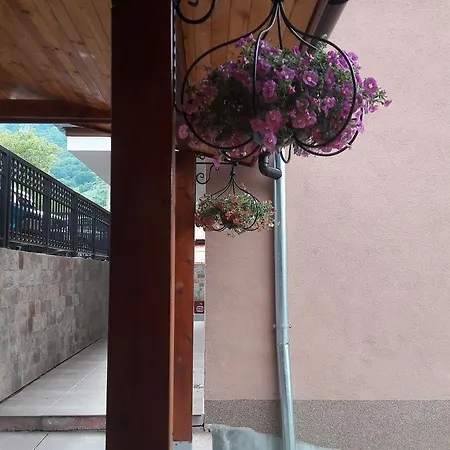 Guest house Lakata Zasele